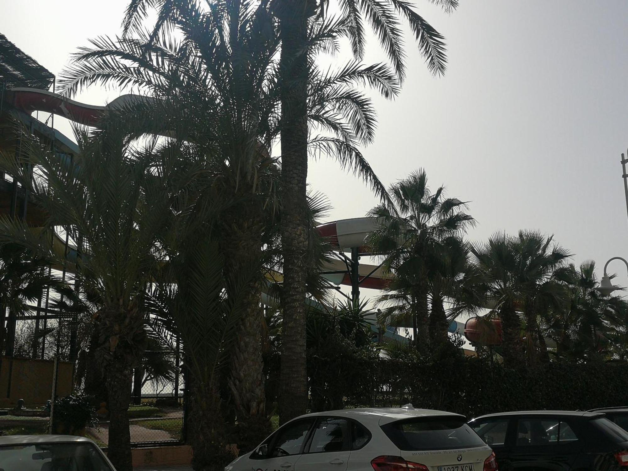 Apartamento Playa Velilla Park II Almuñécar Εξωτερικό φωτογραφία